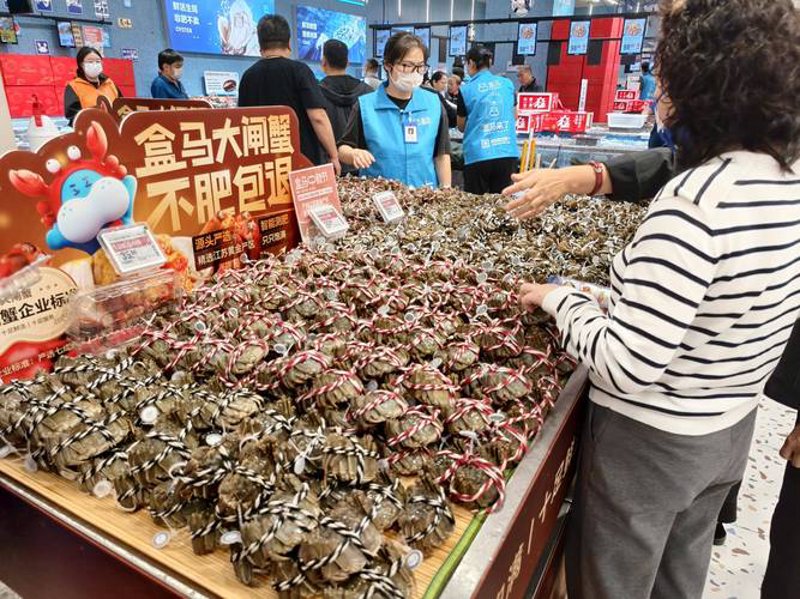 采购新手指南：如何选择优质的代理供应商